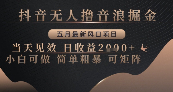 抖音无人撸音浪掘金，五月最新风口项目，当天见效，日收益多张，小白可做简单粗暴可矩阵【揭秘】-翻身站