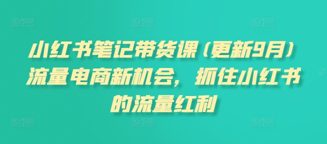 小红书笔记带货课(更新25年4月)流量电商新机会，抓住小红书的流量红利-翻身站