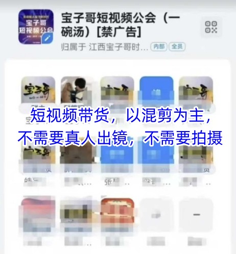 宝子哥头部团队短视频带货，以混剪为主，不需要真人出镜，不需要拍摄-翻身站