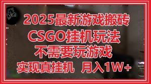 2025最新游戏搬砖，CSGO挂机，不需要玩游戏，实现真挂机，月入1W+-翻身站