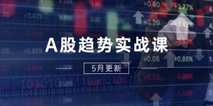 A股趋势实战课：主力动向+政策红利，2025全年策略5月更新-翻身站