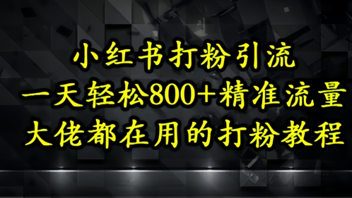 小红书打粉引流，一天轻松500+精准流量，大佬都在用的打粉教程-翻身站