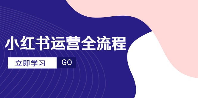 小红书运营全流程，爆款选题文案，视频制作技巧，进阶达人宝典-翻身站