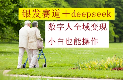 银发赛道+deepseek数字人全域变现，小白也能操作-翻身站