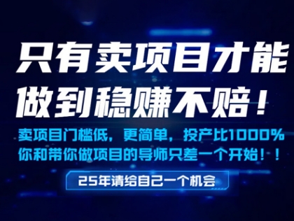 只有卖项目才能做到稳挣不赔，门槛低，更简单，你也可以年入百个W【揭秘】-翻身站