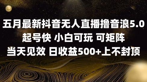 2025五月最新无人直播撸音浪单日产出5张+实操教程【揭秘】-翻身站