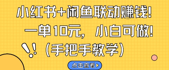 小红书+闲鱼联动挣钱，一单10元，小白可做-翻身站