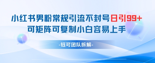 小红书男粉常规引流不封号日引99+变现简单 可矩阵可复制小白容易上手-翻身站
