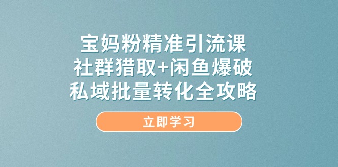 宝妈粉精准引流课，社群猎取+闲鱼爆破，私域批量转化全攻略-翻身站
