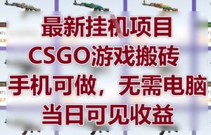 最新挂G项目，CSGO游戏搬砖，手机可做，无需电脑，当日见收益【揭秘】-翻身站