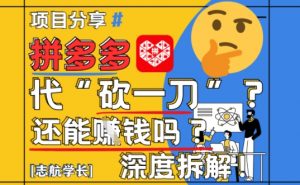 【2025最新】拼多多代坎助力项目深度拆解：还能挣钱吗?全流程玩法-翻身站