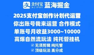 2025支付宝创作分成计划代运营，高爆自然流玩法，纯挂机高分成，合作共赢模式！-翻身站