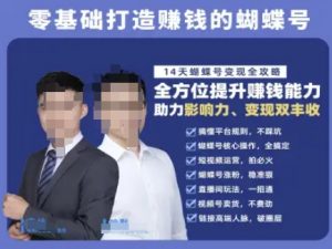 蝴蝶号专栏-视频号运营教程，零基础打造挣钱的蝴蝶号，14天蝴蝶号变现全攻略-翻身站