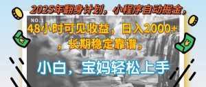 2025年翻身计划，小程序自动掘金48小时可见收益，日入2000+，长期稳定...-翻身站