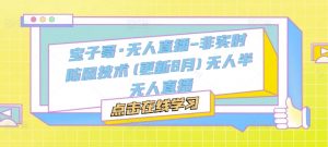 宝子哥·无人直播-非实时防风技术(更新25年6月)无人半无人直播-翻身站