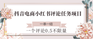 抖音电商小红书评论任务项目，一个评论0.5，一单一结 不限量-翻身站