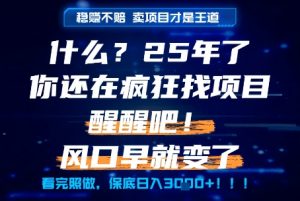 什么？25年你还在疯狂找项目做，醒醒吧，看完这些你全都懂了！【揭秘】-翻身站