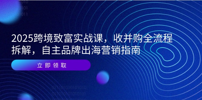 2025跨境致富实战课，收并购全流程拆解，自主品牌出海营销指南-翻身站