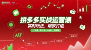 拼多多实战运营课，实时玩法，爆款打造，改销量，补大单，AB单，直播等(更新2025月)-翻身站