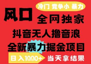 25年6月高爆抖音无人直播最新撸音浪掘金项目，解放双手小白可做，无脑日入1k+，门槛低【揭秘】-翻身站