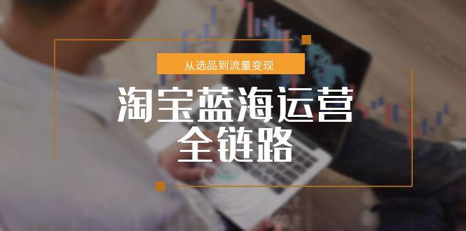 淘宝蓝海运营全链路，从选品到流量变现，小类目突围完整方案-翻身站
