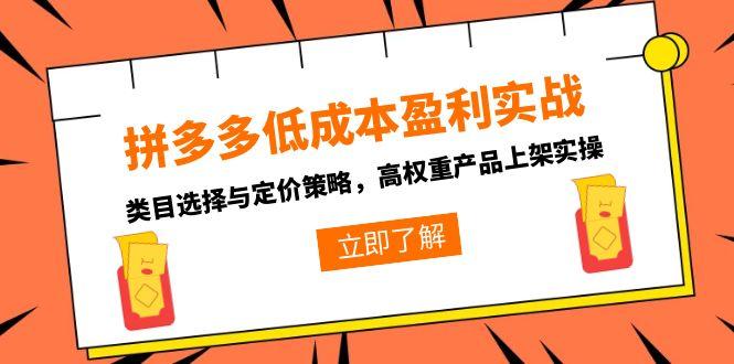 拼多多低成本盈利实战，类目选择与定价策略，高权重产品上架实操-翻身站