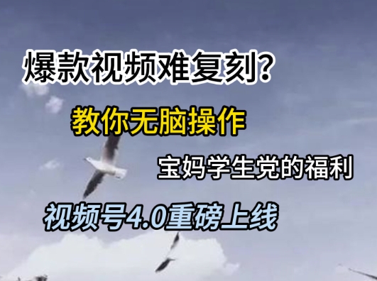 视频号4.0重磅上线，爆款视频难复刻？教你无脑操作宝妈学生党的福利【揭秘】-翻身站