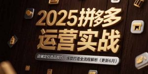 2025拼多多运营实战：店铺定位选品技巧，爆款打造全流程解析(更新6月-翻身站