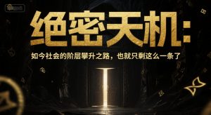 付费文章：绝密天机：如今社会的阶层攀升之路，也就只剩这么一条了-翻身站