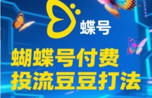 2025蝴蝶号付费投流豆豆打法，助新手快速掌握付费流量撬动自然流的核心玩法-翻身站
