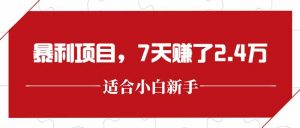 最新暴利项目，每单收益轻松在300以上，7天赚了2.4万-翻身站