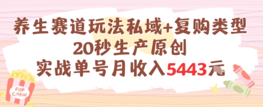 养生赛道玩法私域+复购类型，20秒生产原创实战单号月收入5k+-翻身站