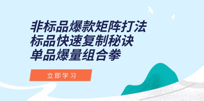 非标品爆款矩阵打法，标品快速复制秘诀，单品爆量组合拳-翻身站