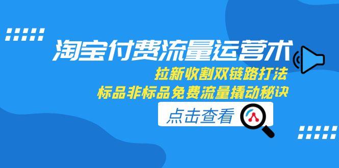 淘宝付费流量运营术，拉新收割双链路打法，标品非标品免费流量撬动秘诀-翻身站