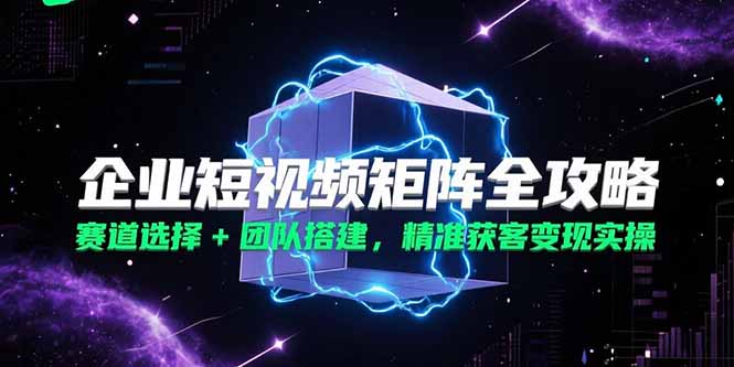 企业短视频矩阵全攻略，赛道选择+团队搭建，精准获客变现实操-翻身站