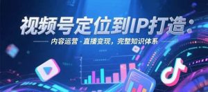 视频号定位到IP打造：账号搭建-内容运营-直播变现，完整知识体系-翻身站
