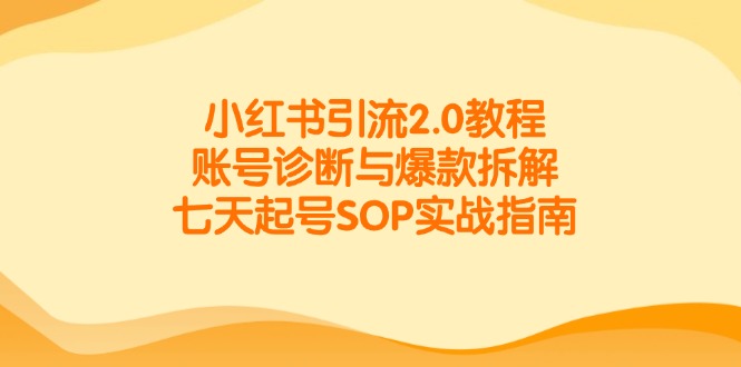 小红书引流2.0教程，账号诊断与爆款拆解，七天起号SOP实战指南-翻身站