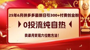 25年6月拼多多最新日引300+付费创业粉，0投流纯自热 卖课月变现六位数方法-翻身站