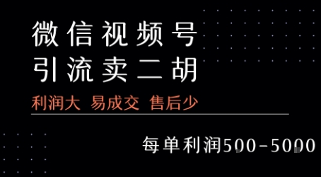 视频号卖二胡教程，利润大 易成交 售后少，一单利润5张+-翻身站