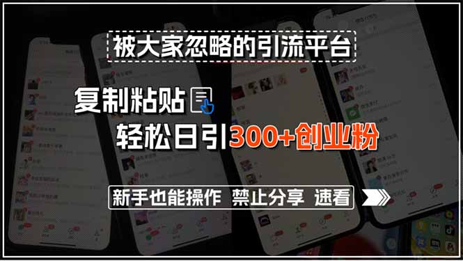 被大家忽略的引流平台，复制粘贴轻松日引300+创业粉，新手也能操作，禁…-翻身站