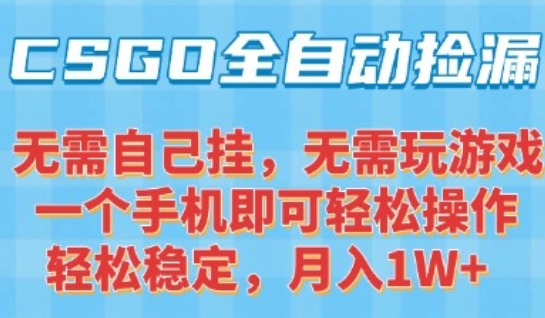 CSGO自动捡漏项目，最新独家玩法，一个手机可操作，新手小白轻松月入1W+，操作简单易上手【揭秘】-翻身站