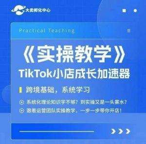 大卖家孵化中心TikTok实操课，TikTok小店成长加速器，跨境基础系统学习，一步一步带你开店-翻身站