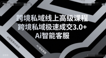 跨境私域线上高级课程，跨境私域极速成交3.0+Ai智能客服-翻身站