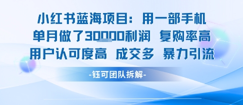 小红书蓝海项目，一部手机单月做了3W利润，小白也能月入过1W用户认可度高成交多-翻身站
