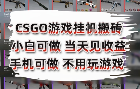 CSGO游戏挂G搬砖，小白纯手机即可操作，不用电脑打游戏，日入3张+，副业网创项目【揭秘】-翻身站