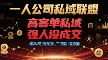 一人公司私域联盟，高客单私域，强人设成交，建私域 搞发售 广结盟 造势能-翻身站