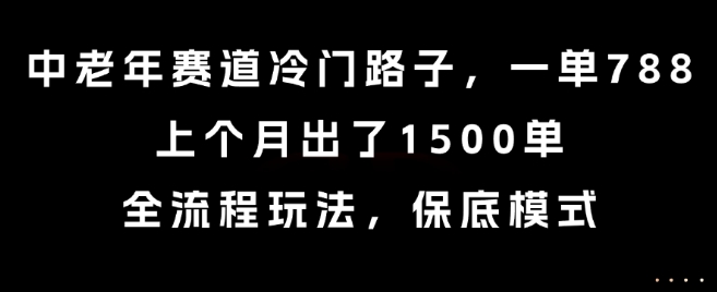 中老年赛道冷门路子，一单788，上个月出了1500单，全流程玩法，保底模式【揭秘】-翻身站