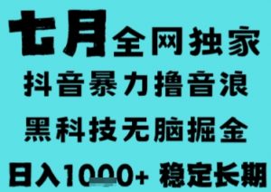 7月最新风口抖音无人直播撸音浪,长期稳定,非短期,全自动运行,低门槛无脑,日入1k+【揭秘】-翻身站