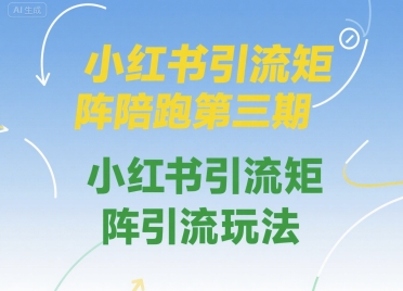 小红书引流矩阵陪跑第三期，小红书引流矩阵引流玩法-翻身站