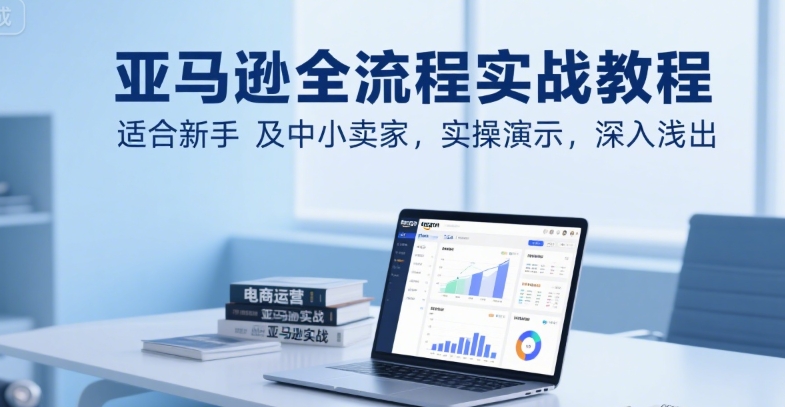 亚马逊全流程实战教程，适合新手及中小卖家，实操演示，深入浅出-翻身站